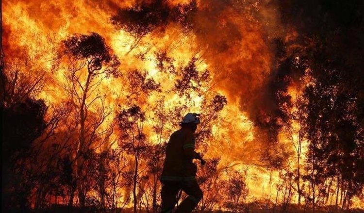 www.globalsoulrescue.org/Die by Fire Image